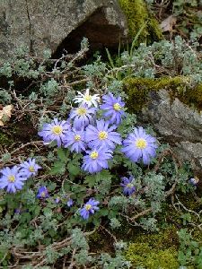 Springtime  in Northernhay Gardens. Photograph by Sean Creech (c) 2001